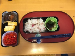 Sakura obento box