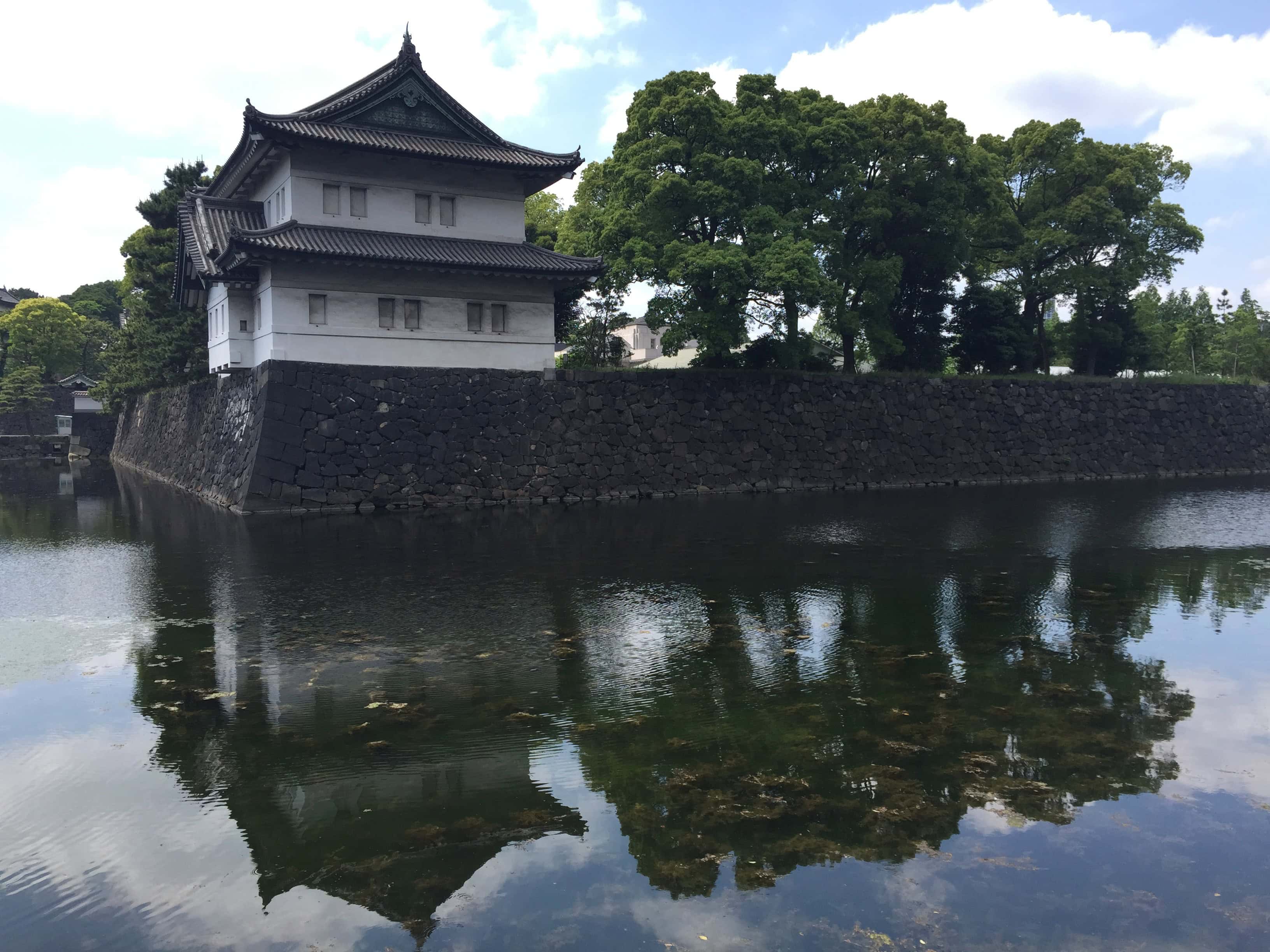 Mid-year review: reflections from 6 months in Japan - Katie Anderson