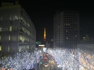 Holiday lights up with Tokyo Tower in the background. You won't find any trash OR trash cans on this street!