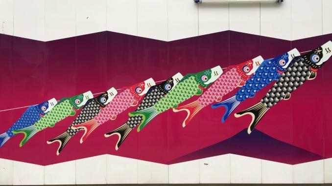 Japanese coi