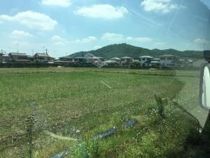 Ashikaga is a rural town with rice fields and other crops extending for miles between factories and buildings.